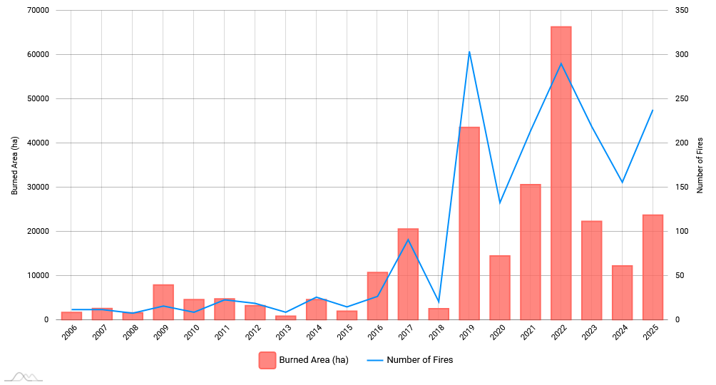 🔎 Cliquez pour agrandir